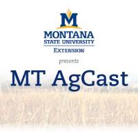 MSU Logo w/presents MT AgCast
